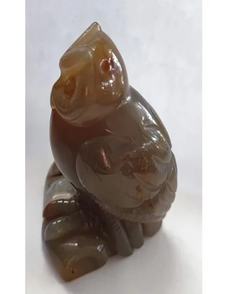 Chouette agate cornaline