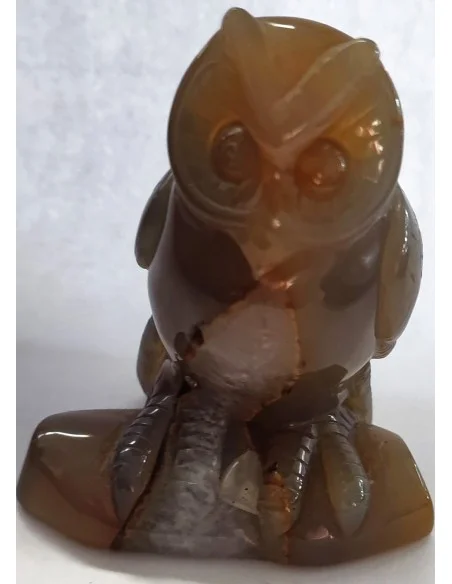 Chouette agate cornaline