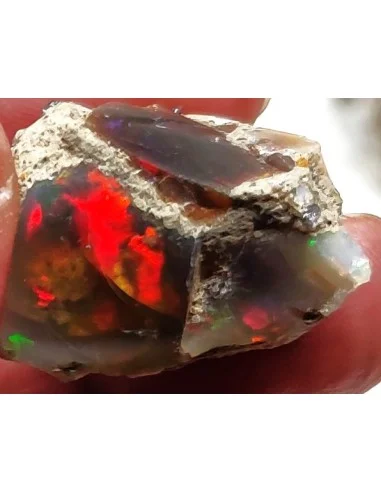 Opale noble Australie 11,16g