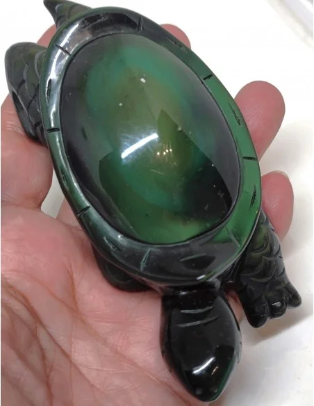 Tortue Obsidienne arc-en-ciel