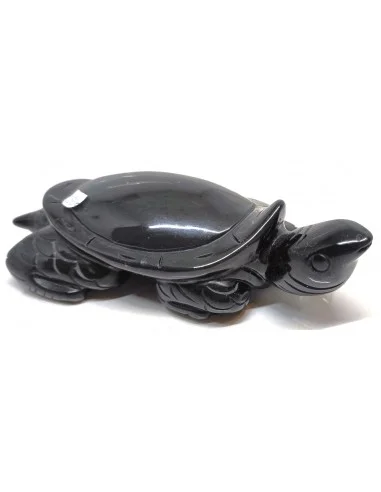 Tortue Obsidienne arc-en-ciel