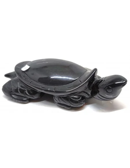 Tortue Obsidienne arc-en-ciel