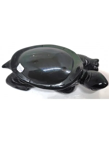 Tortue Obsidienne arc-en-ciel