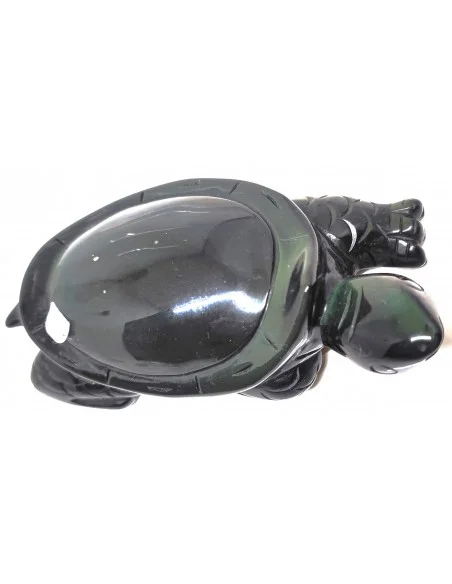 Tortue Obsidienne arc-en-ciel