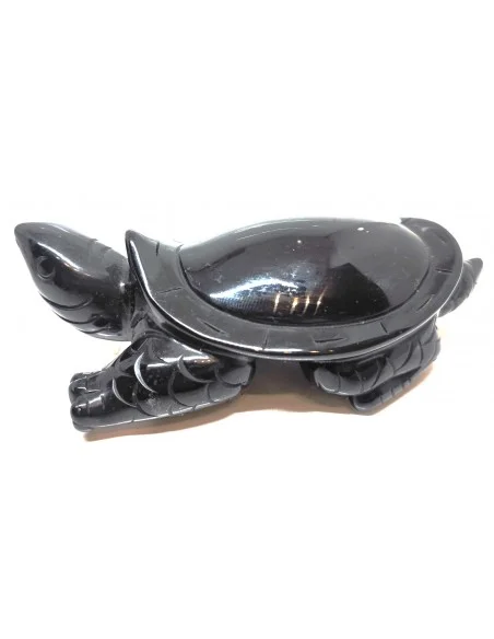 Tortue Obsidienne arc-en-ciel