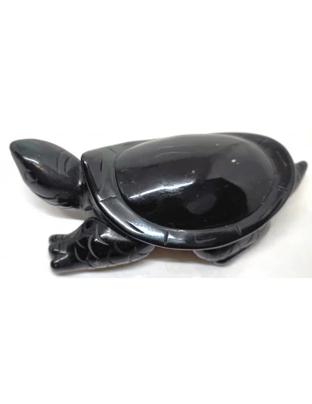 Tortue Obsidienne arc-en-ciel