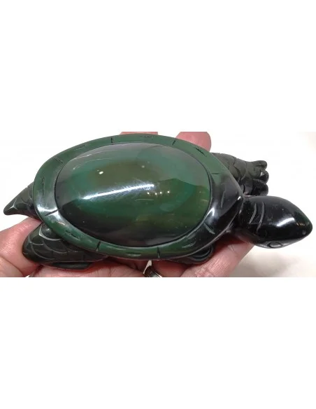 Tortue Obsidienne arc-en-ciel