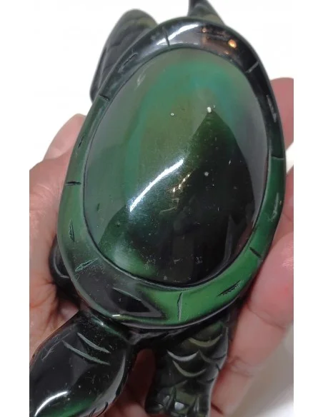 Tortue Obsidienne arc-en-ciel