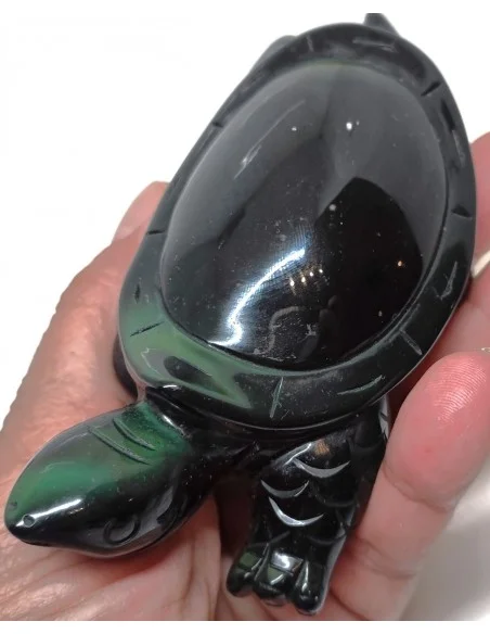 Tortue Obsidienne arc-en-ciel