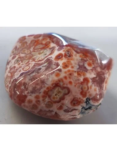 Galet Calcedoine rouge polie