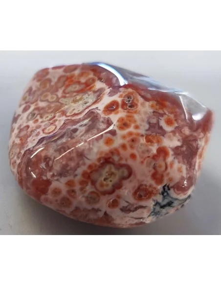 Galet Calcedoine rouge polie