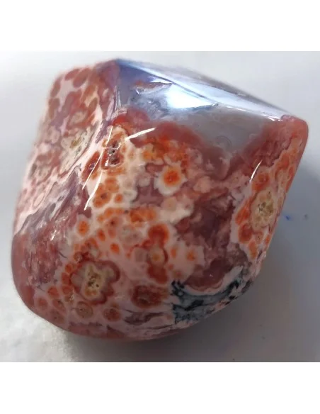 Galet Calcedoine rouge polie