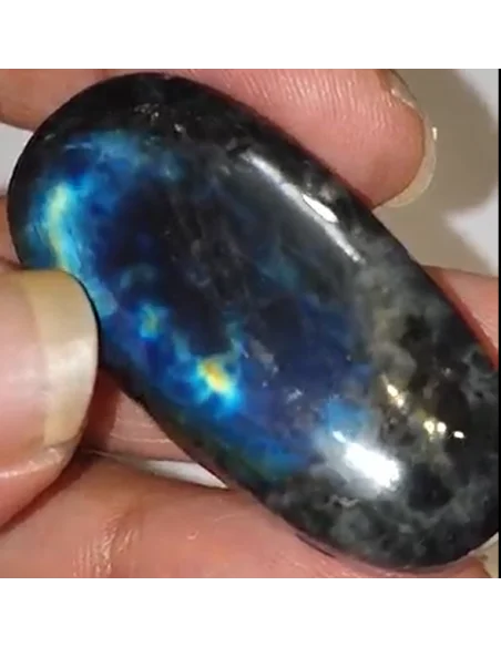 Pendentif spectrolite percée ovale