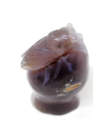 Cigale agate sur amethyste rose