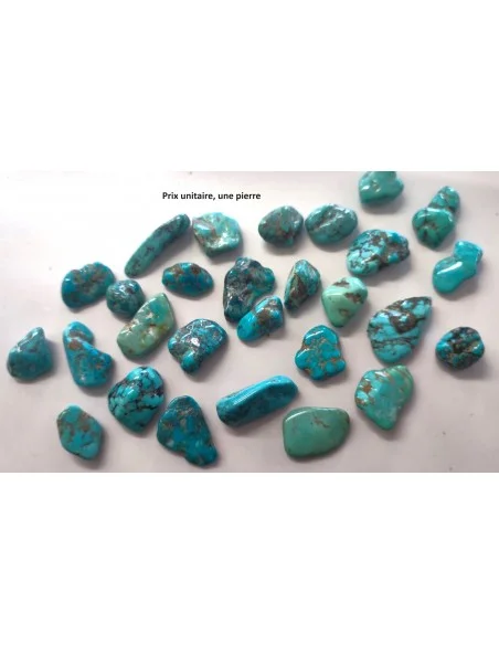 Turquoise Brute des Etats Unis