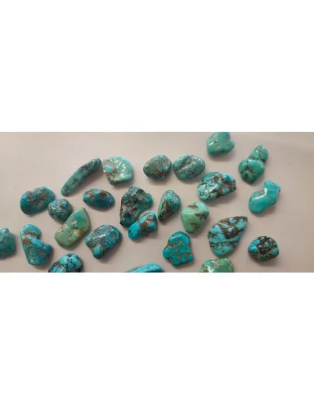 Turquoise Brute des Etats Unis