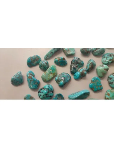 Turquoise Brute des Etats Unis