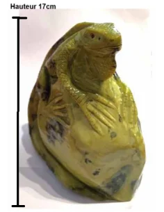 Iguane pierre serpentine