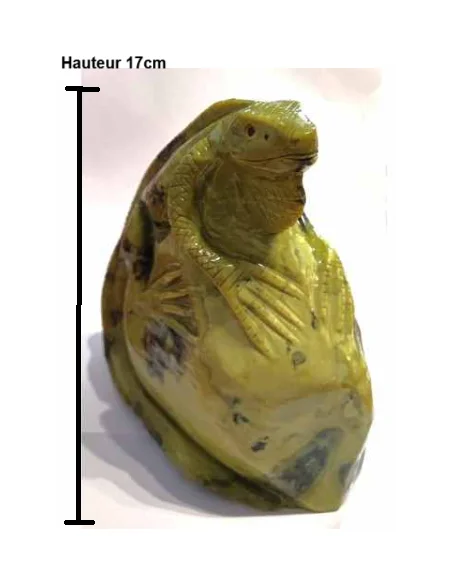 Iguane pierre serpentine