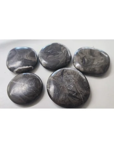 Stromatolite galet pierre