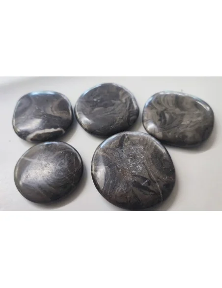 Stromatolite galet pierre