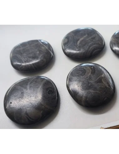 Stromatolite galet pierre