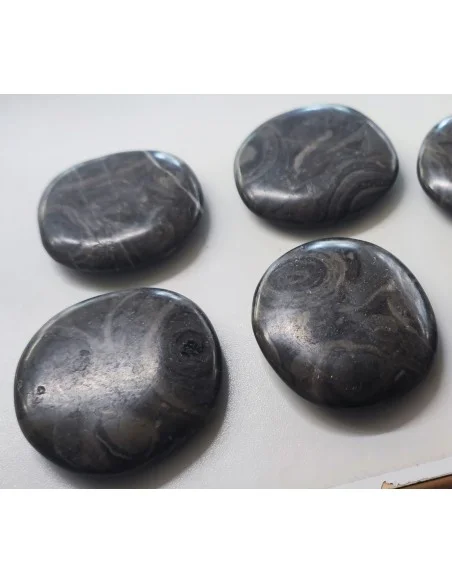 Stromatolite galet pierre