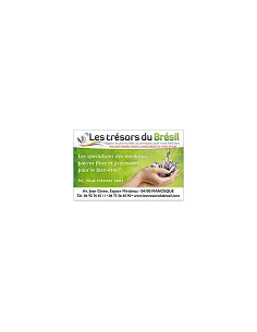 Cours Pratique dans la lithothérapie 1 heure par jour