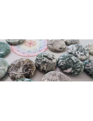 Agate dendritique galet