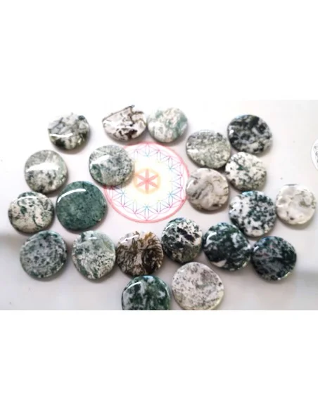 Agate dendritique galet