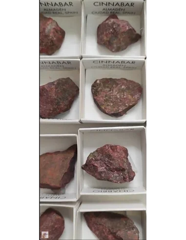 Cinabre, le Sang du Dragon : Puissance,...