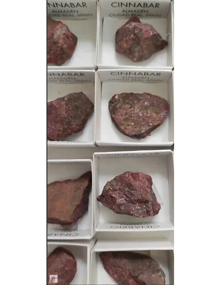 Cinabre, le Sang du Dragon : Puissance, Abondance et Motivation !