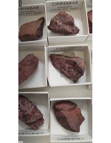 Cinabre, le Sang du Dragon : Puissance,...