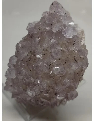 Amethyste vera Cruz en Geode