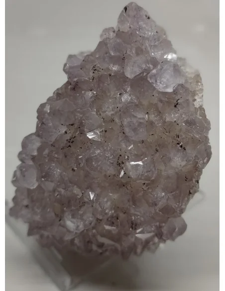 Amethyste vera Cruz en Geode