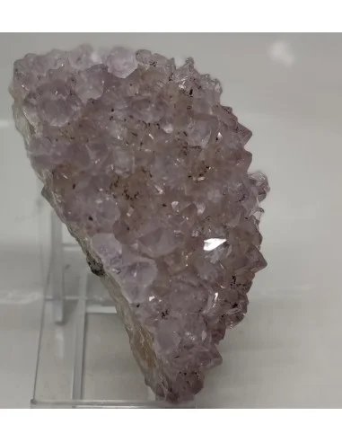 Amethyste vera Cruz en Geode