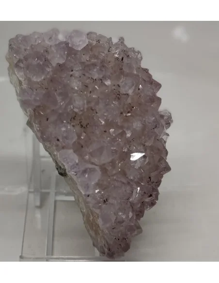 Amethyste vera Cruz en Geode