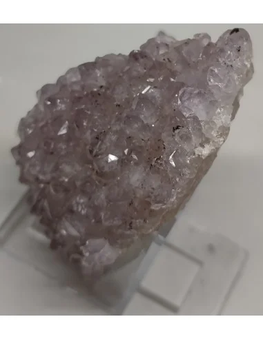 Amethyste vera Cruz en Geode