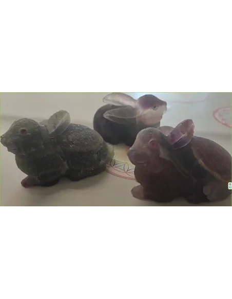 Lapin en fluorine arc-en-ciel