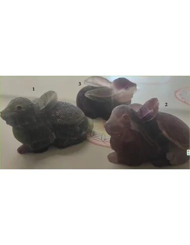 Lapin en fluorine arc-en-ciel