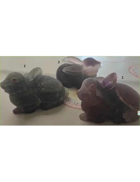 Lapin en fluorine arc-en-ciel