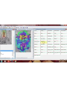 Visualisation des chakras 2