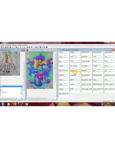 Visualisation des chakras