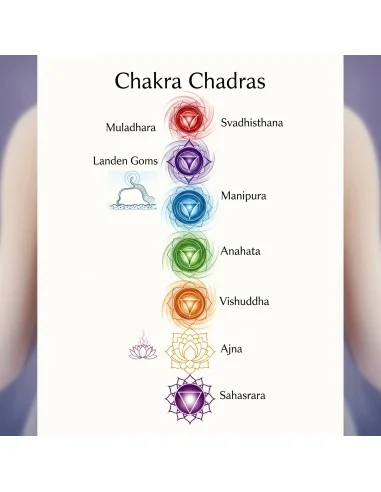 8 Elixirs sept chakras