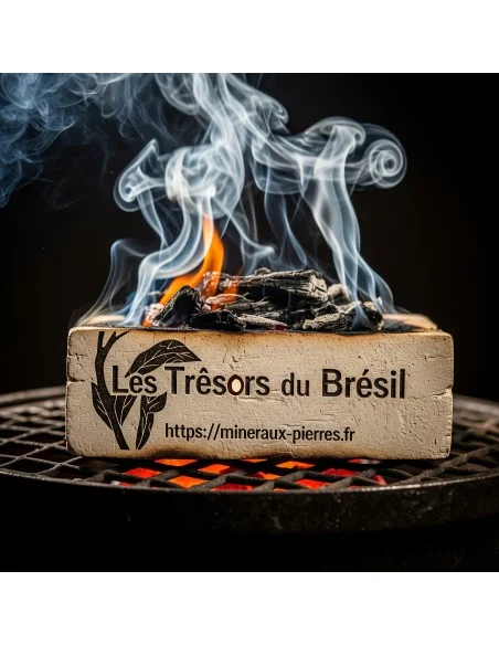 Encens grains resine