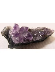 Brandenberg  2