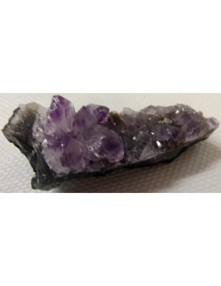 Brandenberg Brandenberg