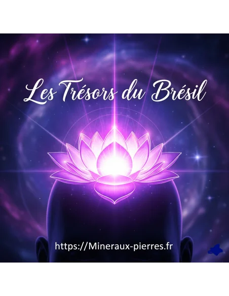 8 Elixirs sept chakras