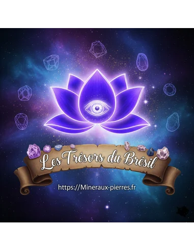8 Elixirs sept chakras