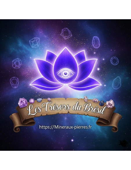 8 Elixirs sept chakras